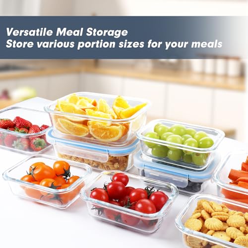 10 Packs Glass Food Storage Containers with Lids F386