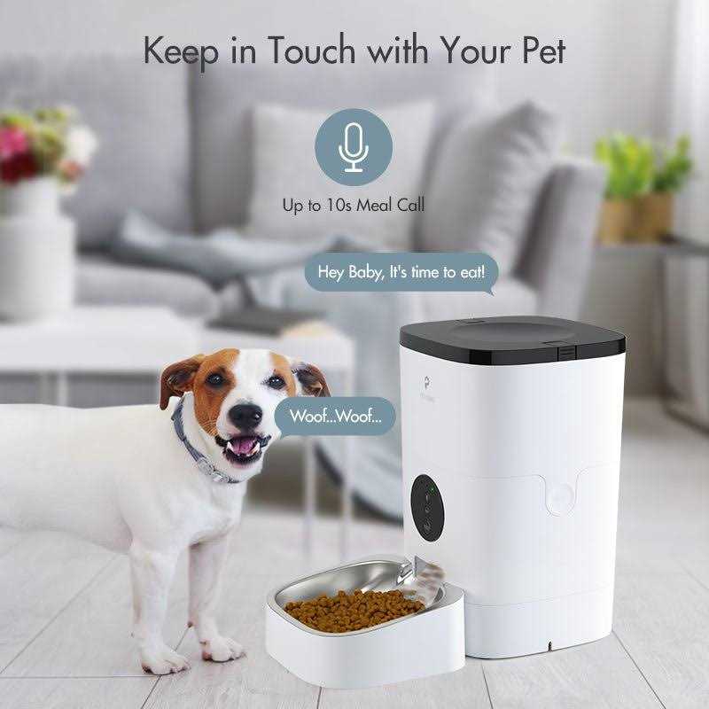 Automatic Cat Food Dispenser K183691