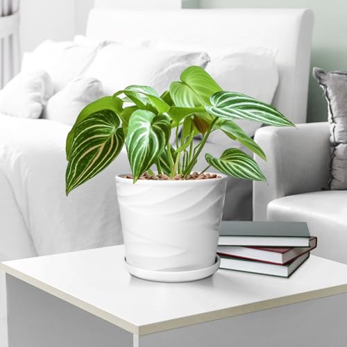 Gray White 8 Inch Ceramic Plant Pot with Drainage and Saucer L843