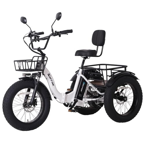 750W 48V13Ah 20"x4.0" Aluminum Folding Fat Tire 3 Wheel Electric Trike X2756
