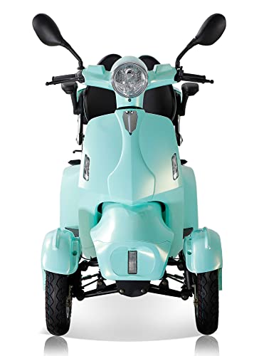 Electric Mobility Scooter with 4 Wheels, Foldable, 2 * 20AH Lead Acid Battery N769