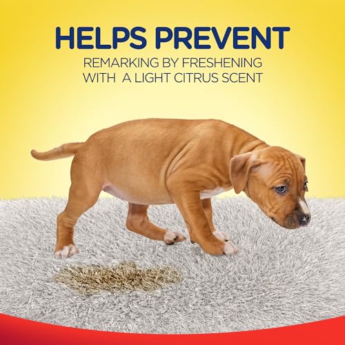 Pet Urine Stain and Odor Remover Spray D146171
