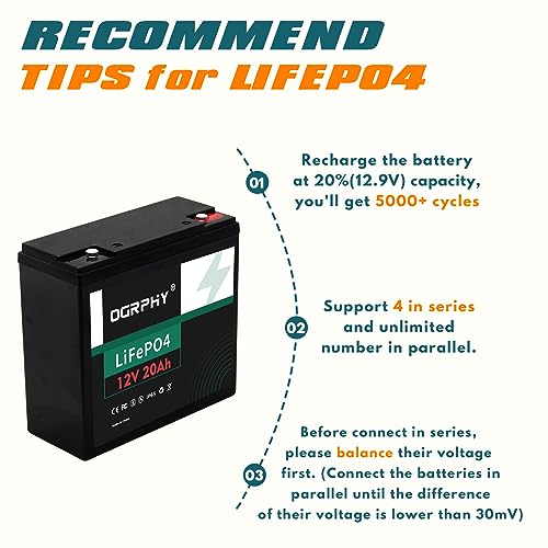 12V 100Ah LiFePO4 Battery with 100A BMS F66189