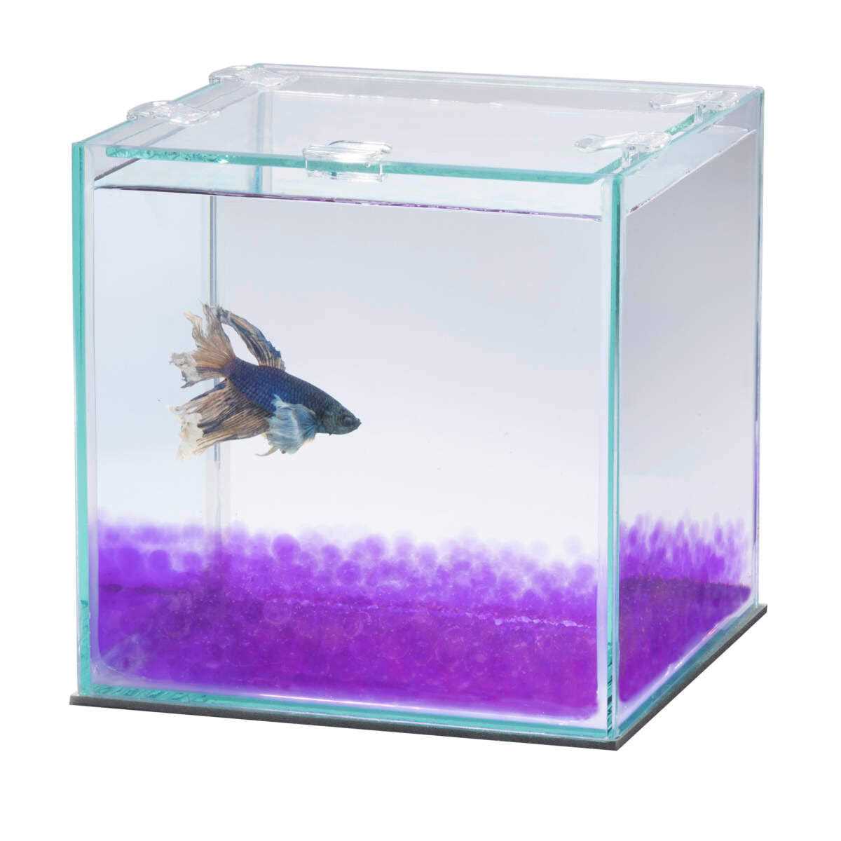 Pure Betta Beads V916