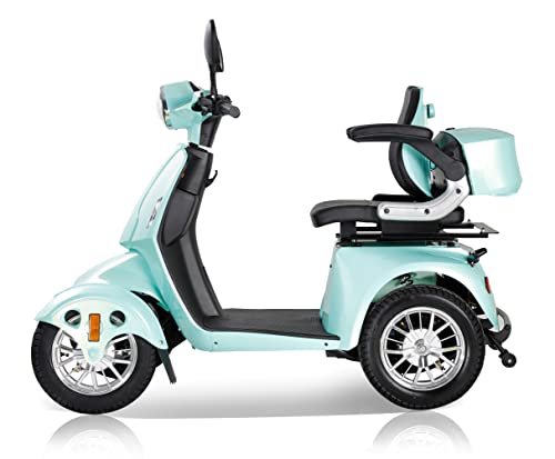 Electric Mobility Scooter with 4 Wheels, Foldable, 2 * 20AH Lead Acid Battery N769