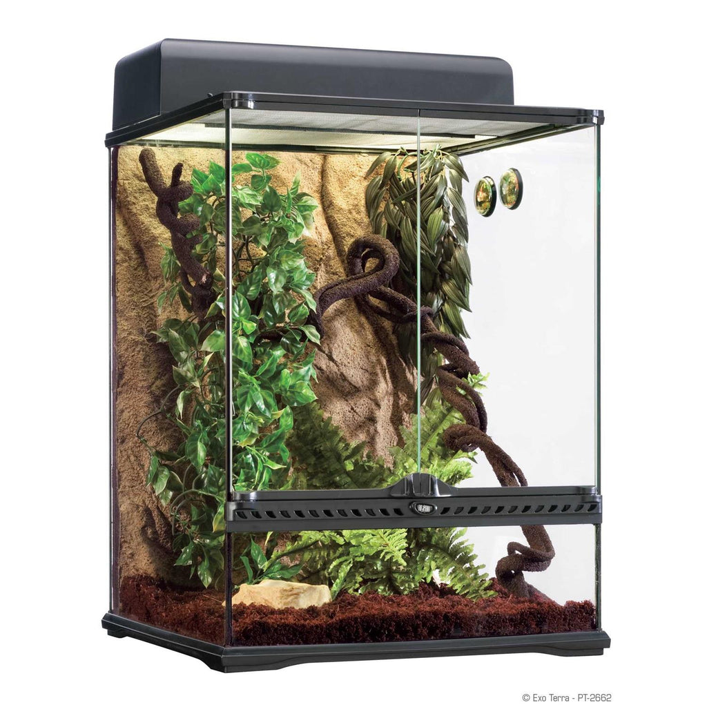 Rainforest Habitat Kit V39506