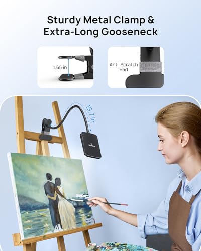 LED Desk Lamp with Clamp, 3-Level Dimmable, Flexible Gooseneck Q774