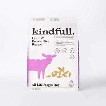 Beef and Vegetable Recipe Dry Dog Food P293228