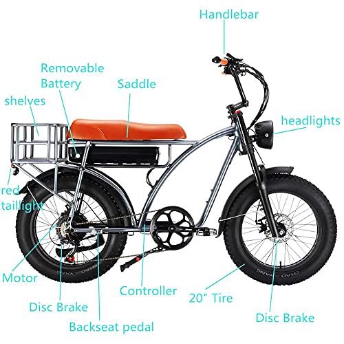 Dual Motor 2000W Retro Two-Person Electric Bicycle, 7-Speed 20" Tire 48V 18Ah E-Bike with Rear Turn Signal Z144