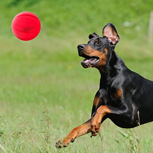 Red 4 Inch Diameter Rubber Dog Ball with Squeaker Y18791