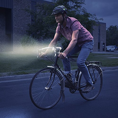 Red Radiant 125 Rechargeable Bike Light W73855