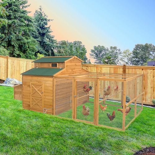 112" Large Wooden Chicken Coop with Chicken Run & Nesting Box S2990