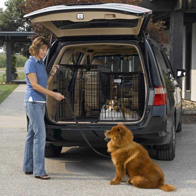 Double Door SUV Dog Crate T13436