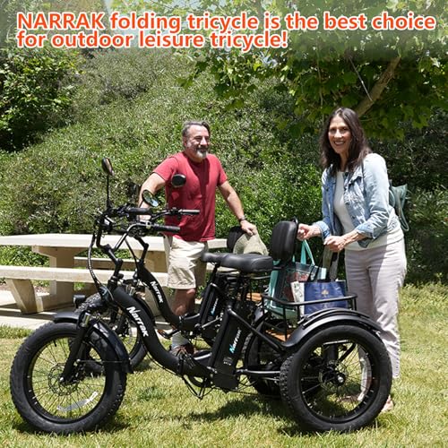 750W 48V13Ah 20"x4.0" Aluminum Folding Fat Tire 3 Wheel Electric Trike X2756