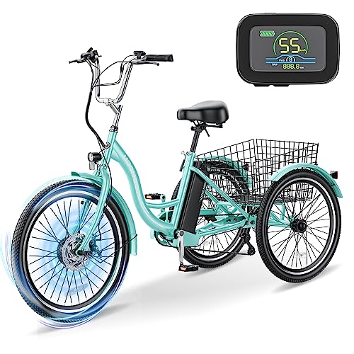 7 Speeds 3 Wheel Electric Bike with 350W 36V Removable Battery Q5361