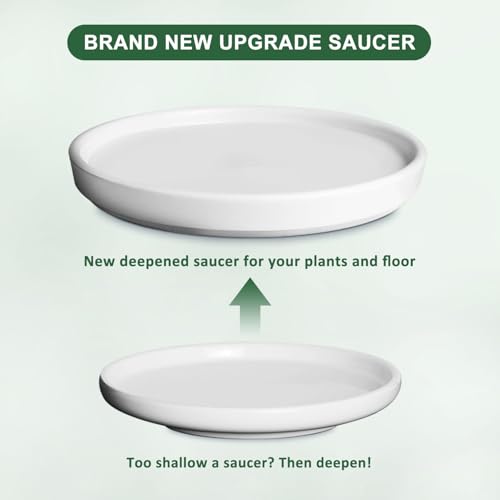 Gray White 8 Inch Ceramic Plant Pot with Drainage and Saucer L843