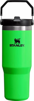 Neon Green 30 oz Stainless Steel Tumbler V580601