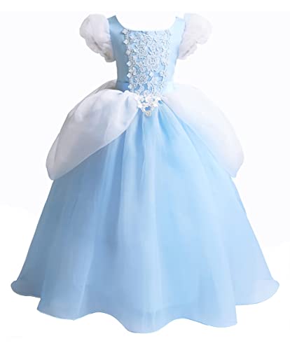 Cinderella Costume Princess Dress Up Ball Gown I678