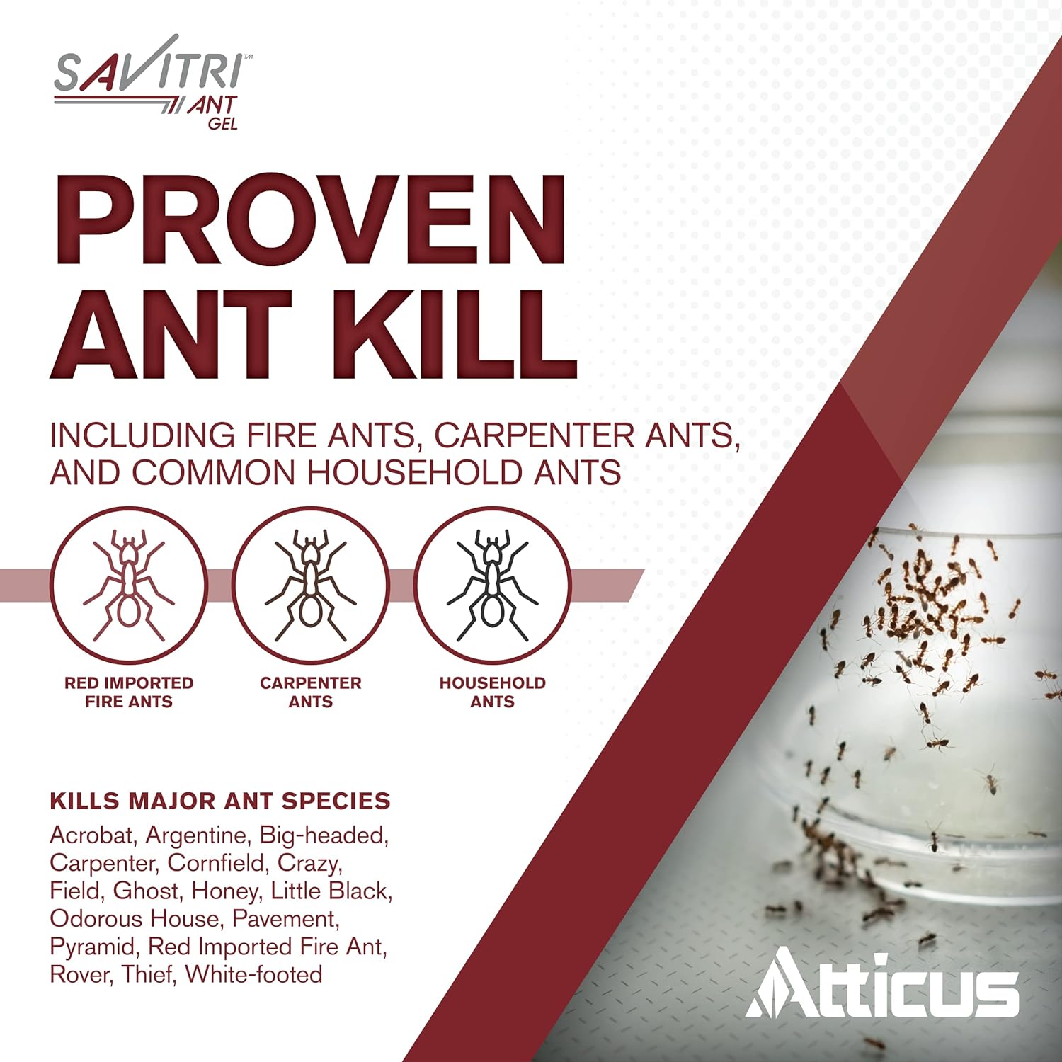 Ant Gel Bait (4 x 30 Grams) N596