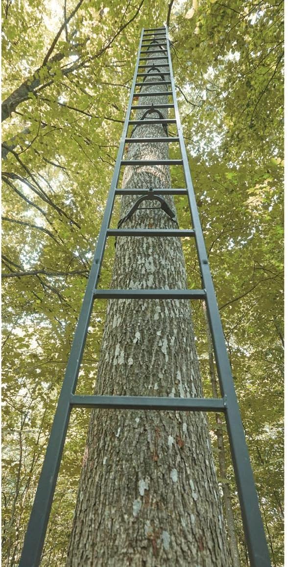 20' Wide Climbing Tree Stand O656