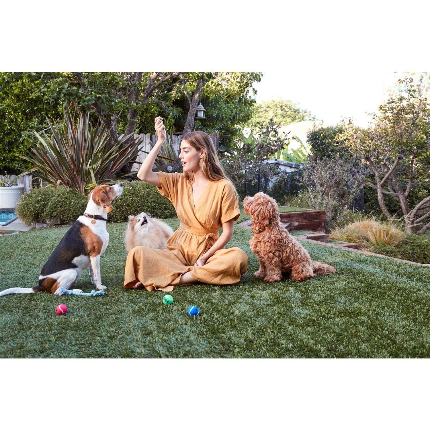 Beef Recipe Savory Sticks Dog Treats G128