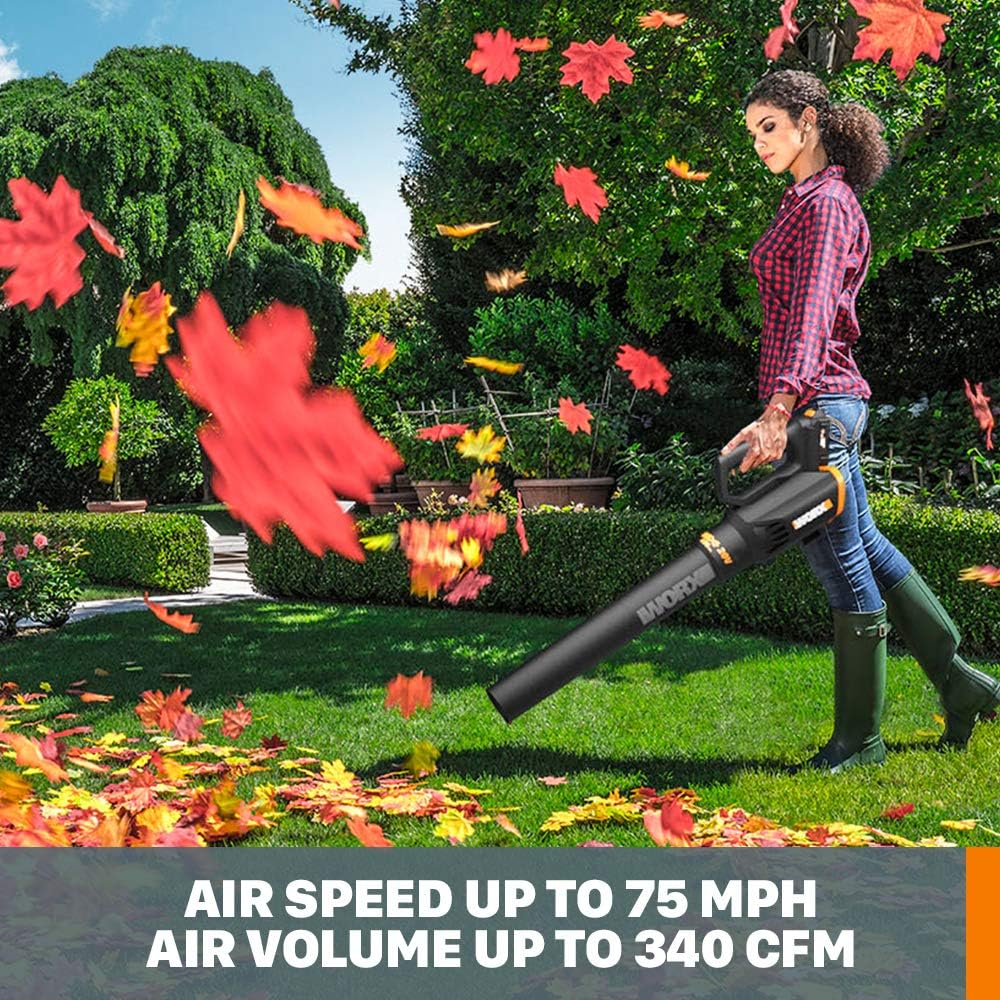 20V Cordless Grass Hedge Trimmer C798