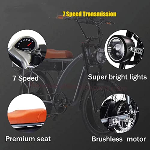 Dual Motor 2000W Retro Two-Person Electric Bicycle, 7-Speed 20" Tire 48V 18Ah E-Bike with Rear Turn Signal Z144