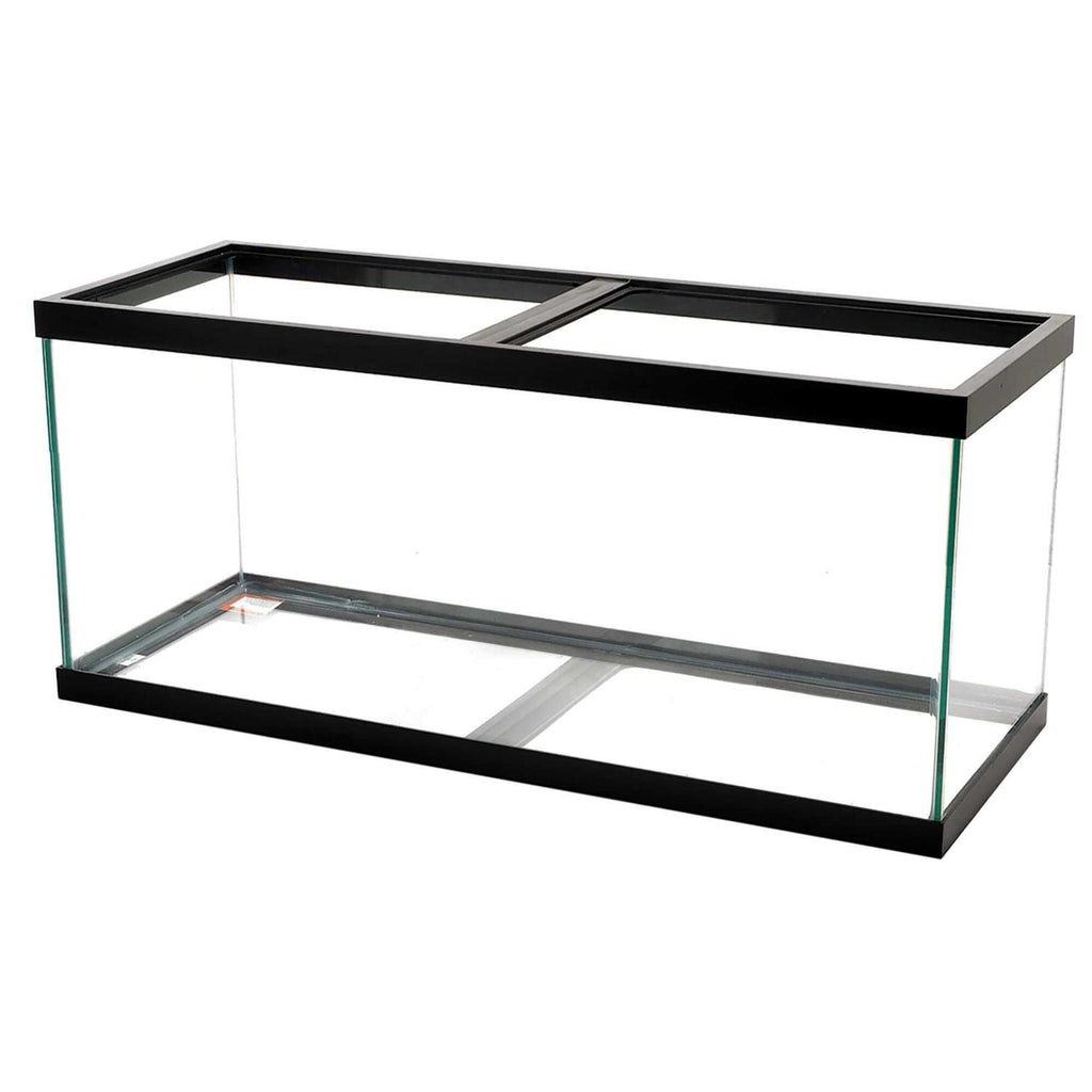 All Glass Aquarium Z194559