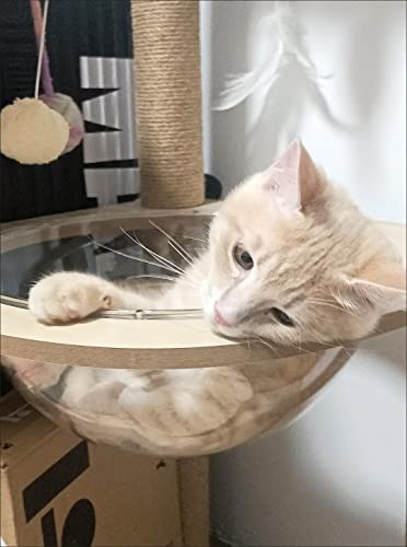 Wooden Large Cat Tree Floor to Ceiling Cat Tower Height Adjustable with Natural Sisal Rope Scratching Post Cozy Bed N546105