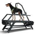 Non-Electric Dog Treadmill with Step Counter, Adjustable Incline & Brake, Up to 300LBS A896883