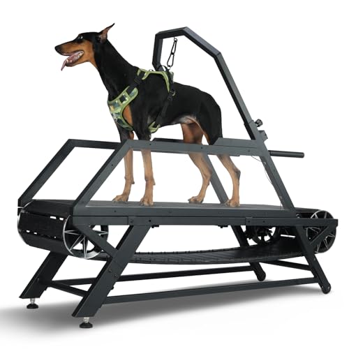 Non-Electric Dog Treadmill with Step Counter, Adjustable Incline & Brake, Up to 300LBS A896883