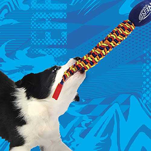 Nerf Vortex Chain Tug Dog Toy R648