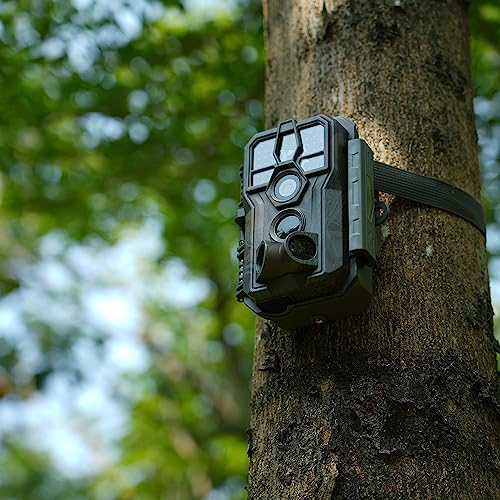 64MP 1296p Trail Camera with 100ft Night Vision T831