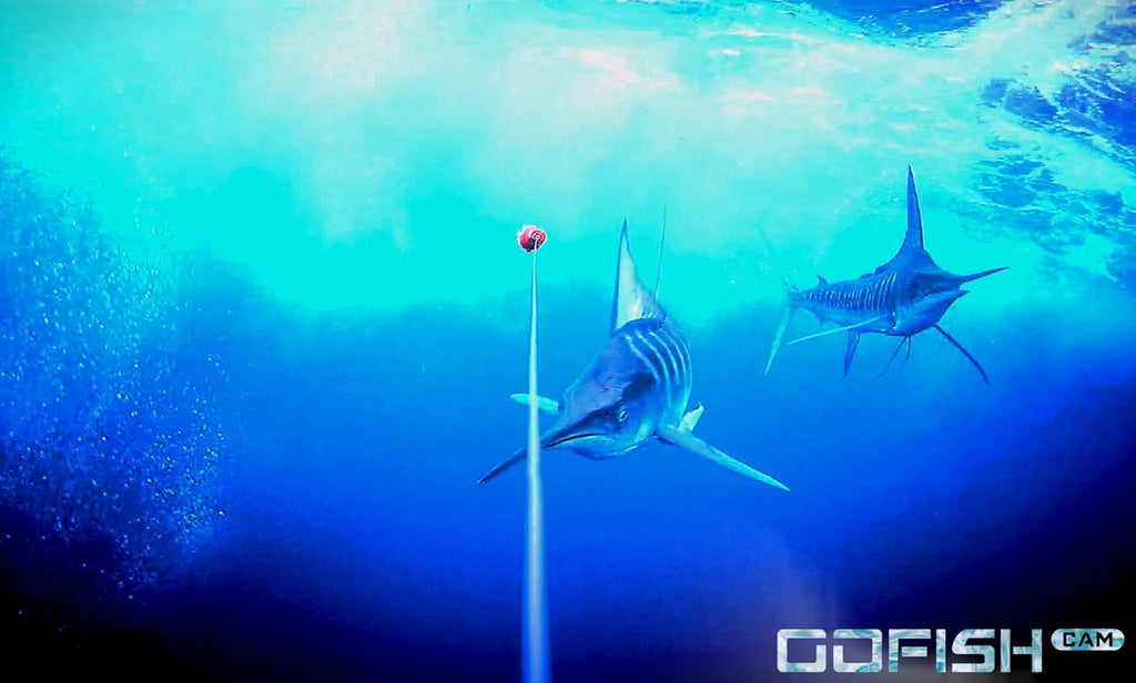 Black Wireless Underwater Fishing Camera U3802
