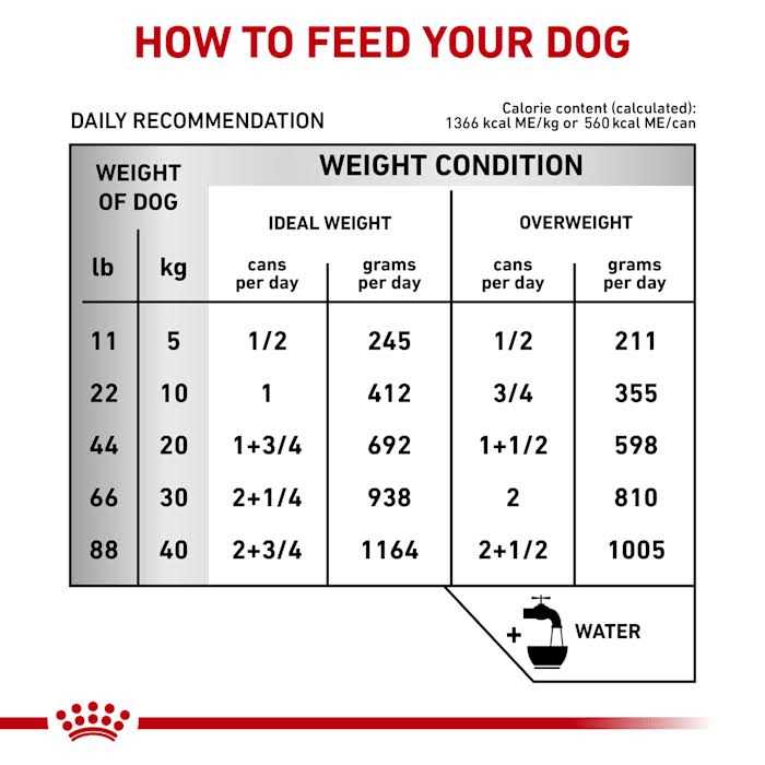 Veterinary Diet Hepatic Canned Dog Food O195973