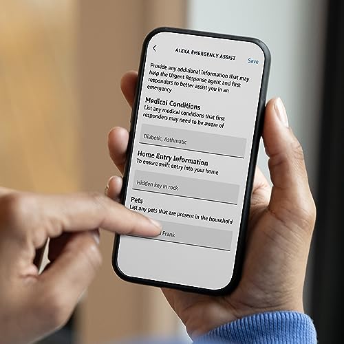 Charcoal Smart Display I828