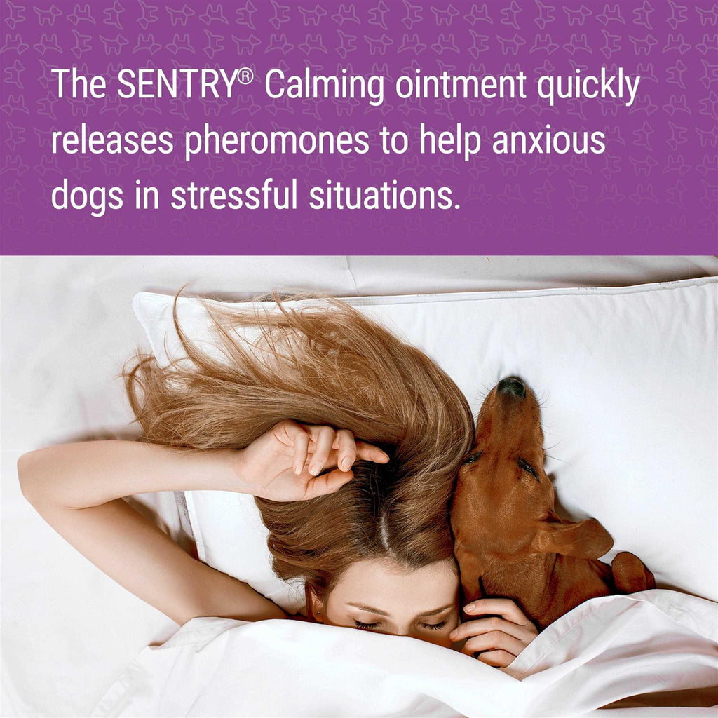Calming Ointment for Dogs F88857