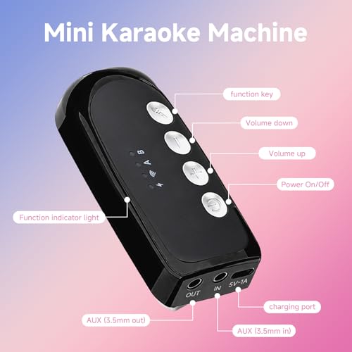 Dual Handheld Rechargeable Karaoke Microphone with 3.5mm Aux in and Out Receiver, Black Z63244