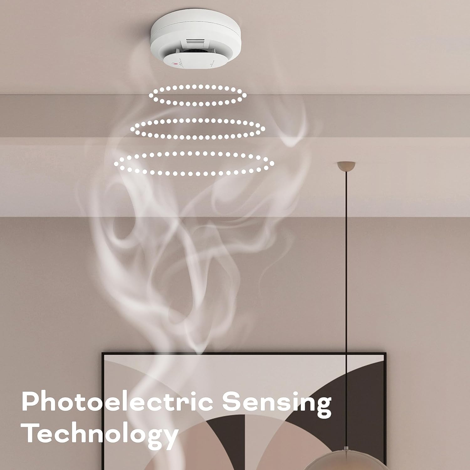 AA Battery Powered Smoke & Carbon Monoxide Detector, 1 Pack I633654