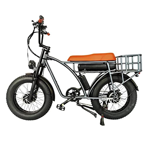 Dual Motor 2000W Retro Two-Person Electric Bicycle, 7-Speed 20" Tire 48V 18Ah E-Bike with Rear Turn Signal Z144