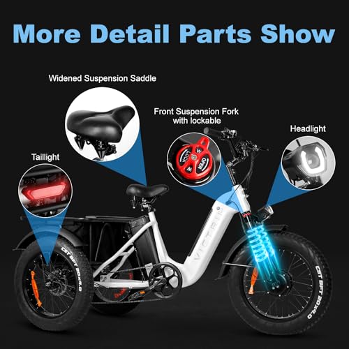 Electric Trike 20" Fat Tire 750W 48V 31.5Ah Removable Dual Battery 3 Wheel Electric Bicycle with Large Basket N181860