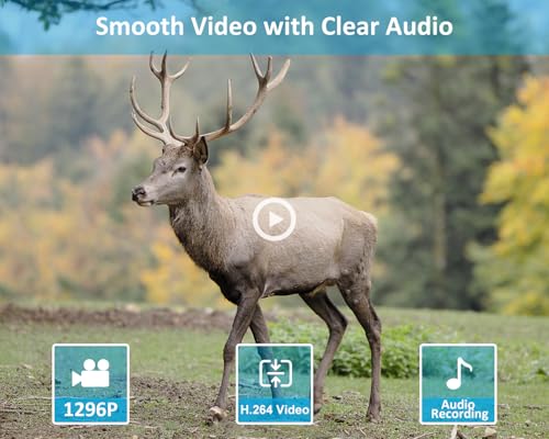 64MP 1296p Trail Camera with 100ft Night Vision T831