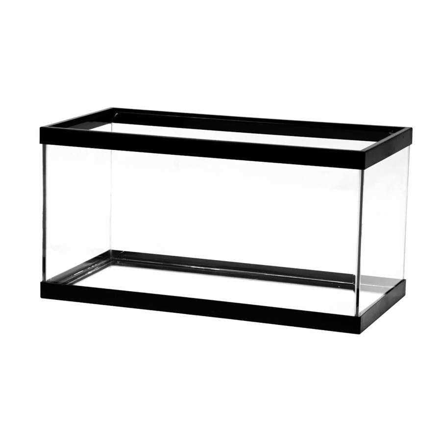 All Glass Aquarium Z194559
