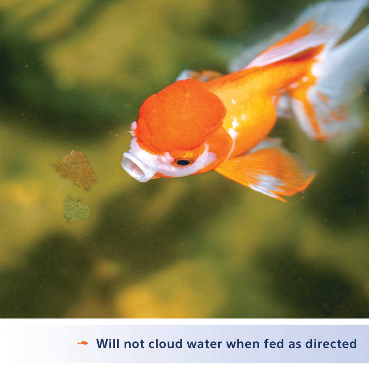 Goldfish Flakes V14669
