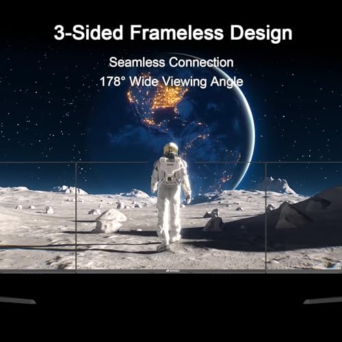 Monitors D5293