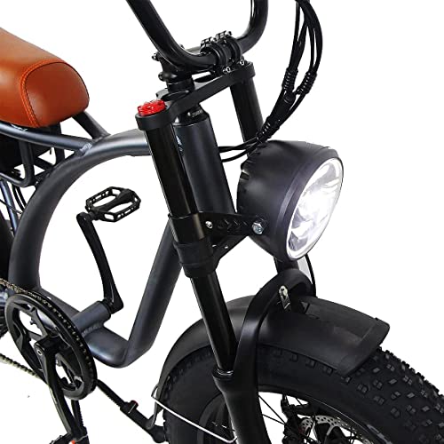 Dual Motor 2000W Retro Two-Person Electric Bicycle, 7-Speed 20" Tire 48V 18Ah E-Bike with Rear Turn Signal Z144