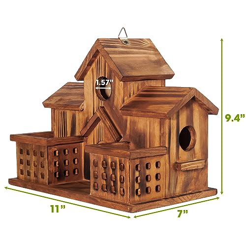 3 Hole Hanging Birdhouse with Bird Feeder T69056