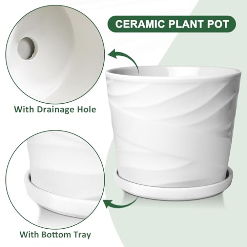 Gray White 8 Inch Ceramic Plant Pot with Drainage and Saucer L843