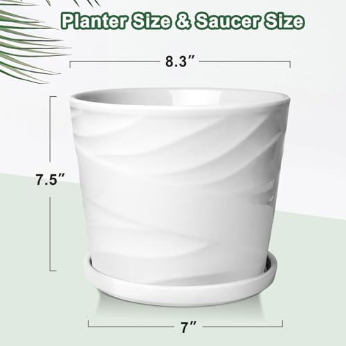 Gray White 8 Inch Ceramic Plant Pot with Drainage and Saucer L843