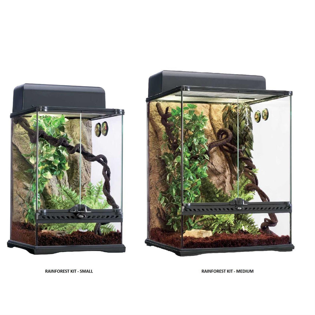 Rainforest Habitat Kit V39506